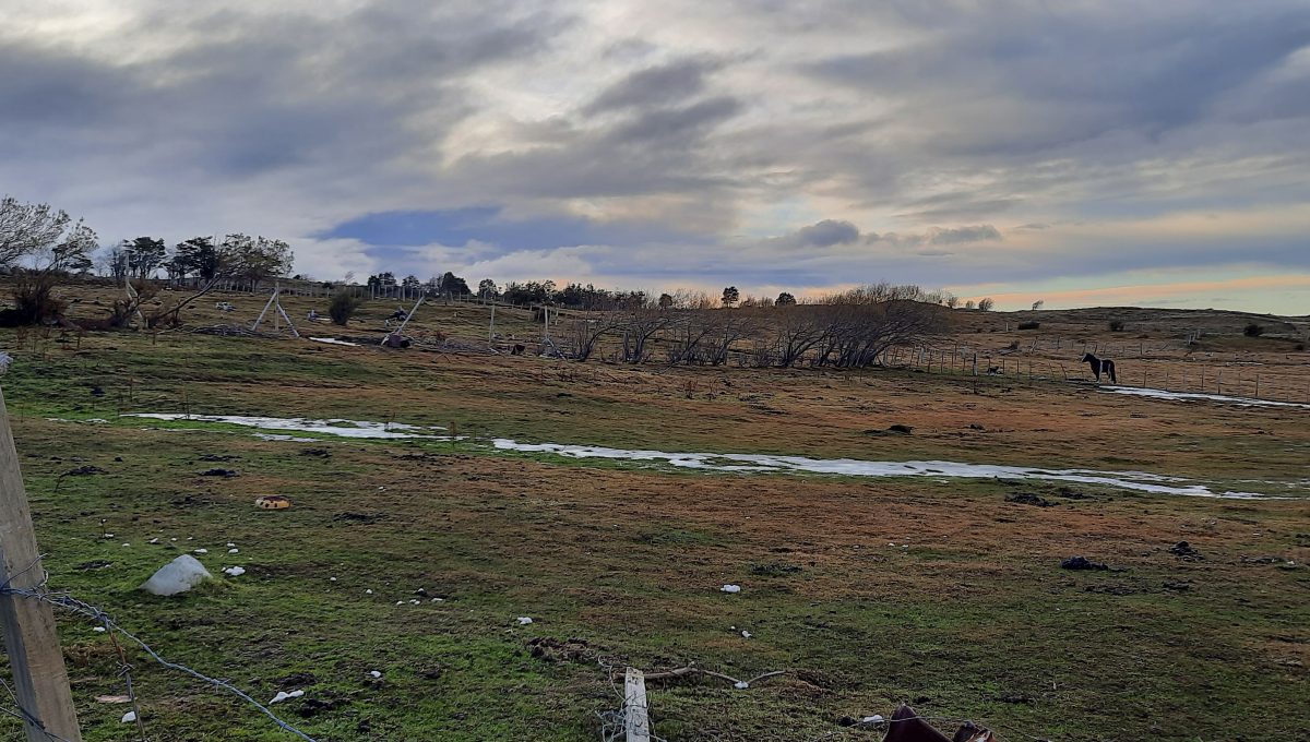 20210609_154532 (002)