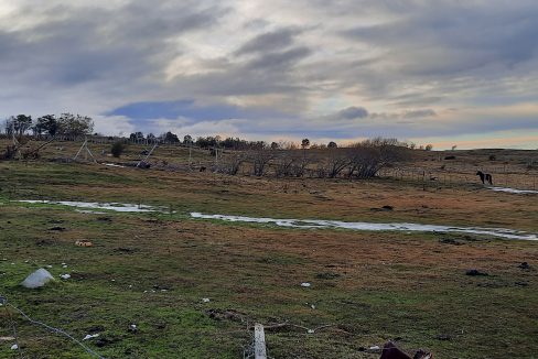 20210609_154532 (002)