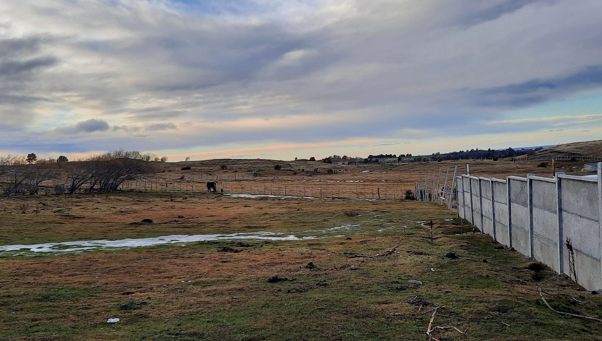 20210609_154545 (002)