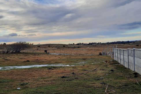 20210609_154545 (002)