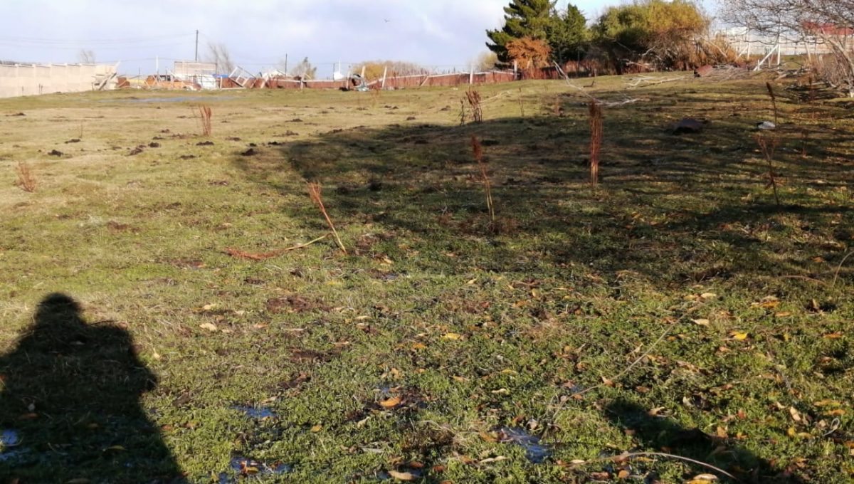 IMG-20210614-WA0006 (002)