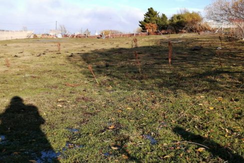 IMG-20210614-WA0006 (002)