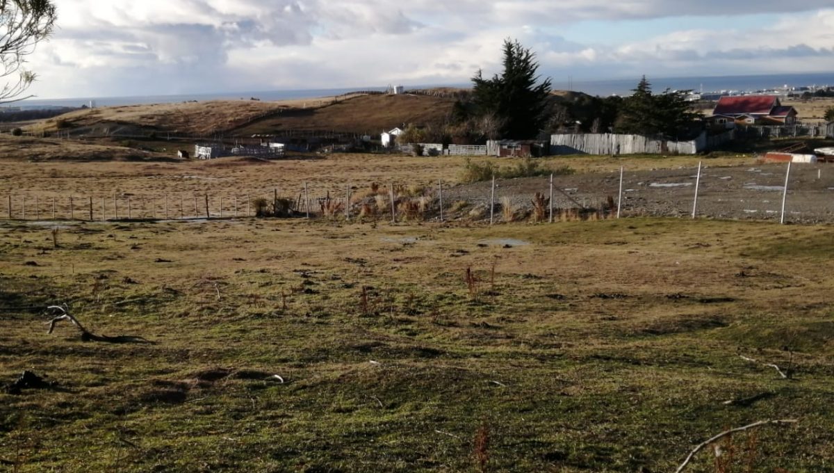 IMG-20210614-WA0008 (002)