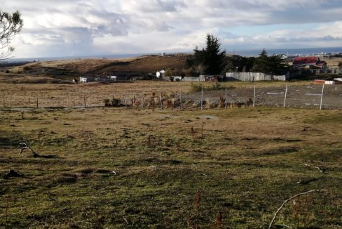 IMG-20210614-WA0008 (002)