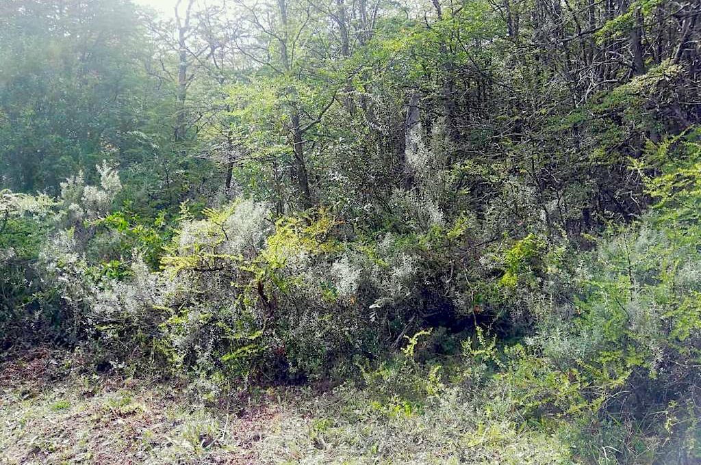 IMG-20220214-WA0014 (1)